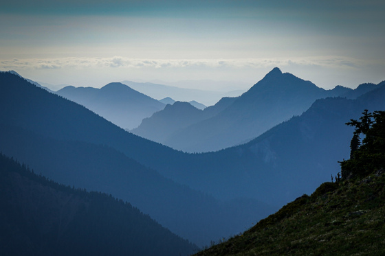 Olympic National Park