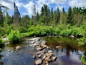 Superior National Forest