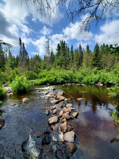 Superior National Forest