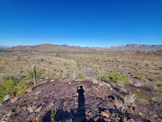 Kofa National Wildlife Refuge