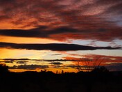 Organ Pipe Cactus National Monument