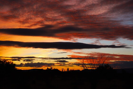 Organ Pipe Cactus National Monument