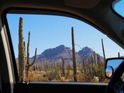 Organ Pipe Cactus National Monument