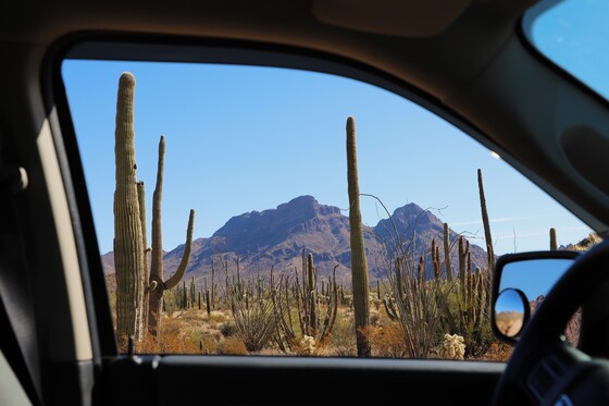 Organ Pipe Cactus National Monument