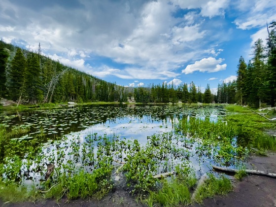 Rocky Mountain National Park 