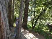 Yosemite National Park