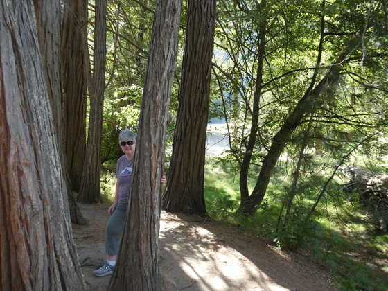 Yosemite National Park