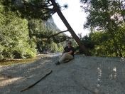 Kings Canyon National Park