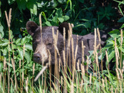 When the shadows move, pay attention