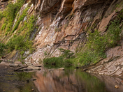 West Fork Trail