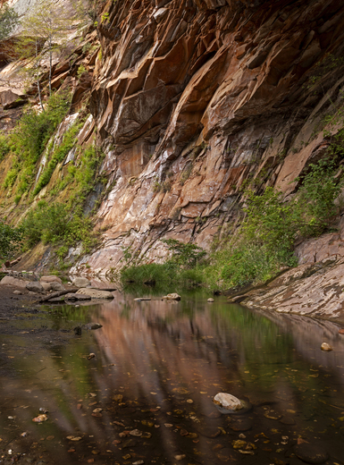 West Fork Trail
