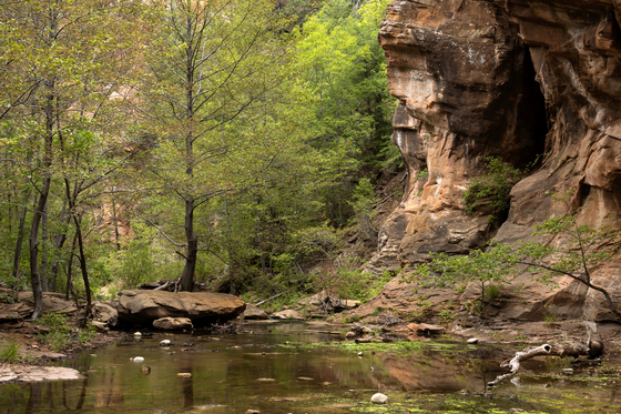 West Fork Trail