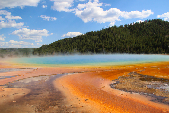Yellowstone National Park