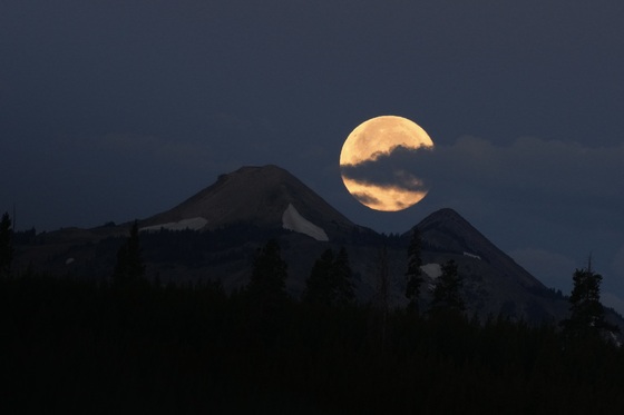 Yellowstone National Park