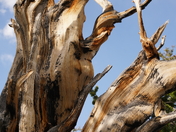 Great Basin National Park