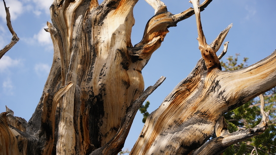 Great Basin National Park