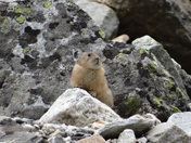 Grand Teton National Park