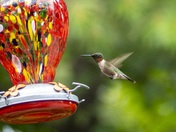 A Million Beats a Minute