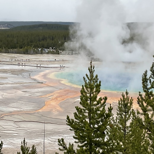 Yellowstone