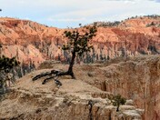Bryce National Park