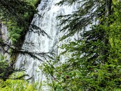 Rainier National Park