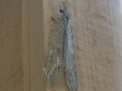 zion national park watchman campground 