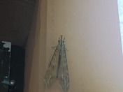 zion national park watchman campground 