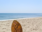 Cape Cod National Seashore 