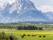 Grand Teton