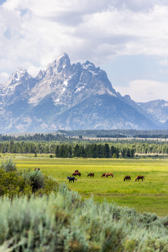 Grand Teton
