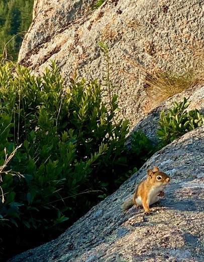 Acadia