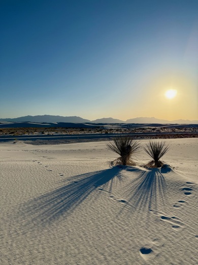 White sands national park 