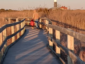 Fire Island National Seashore