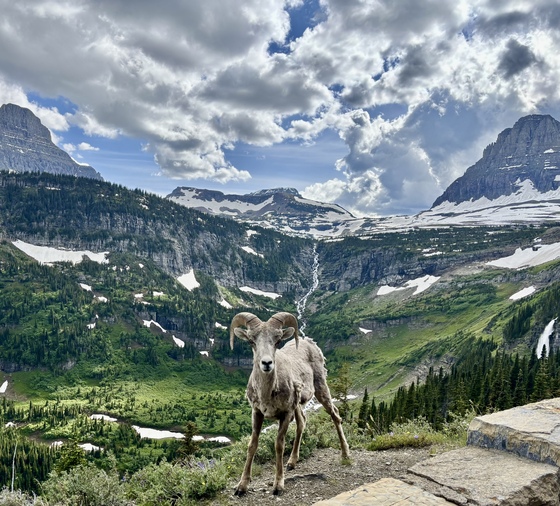 Glacier National Park