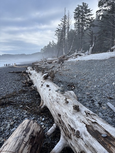 Olympic National Park