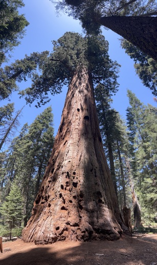 Sequoia National Park