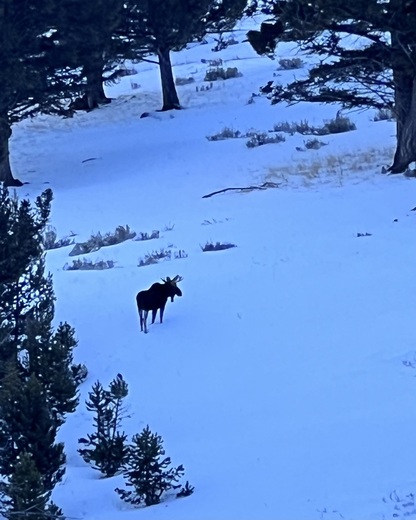 Yellowstone National Park