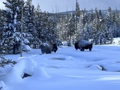 Yellowstone National Park