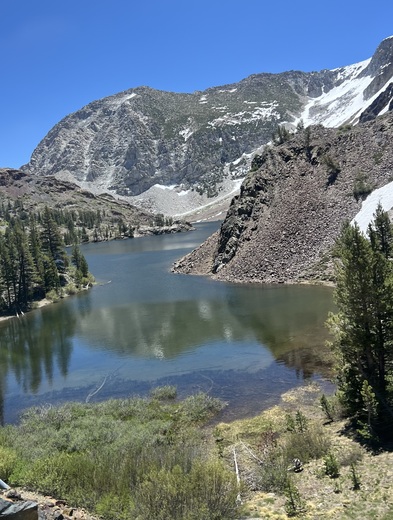 Inyo National Forest
