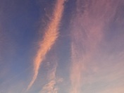 Olympic National Park 