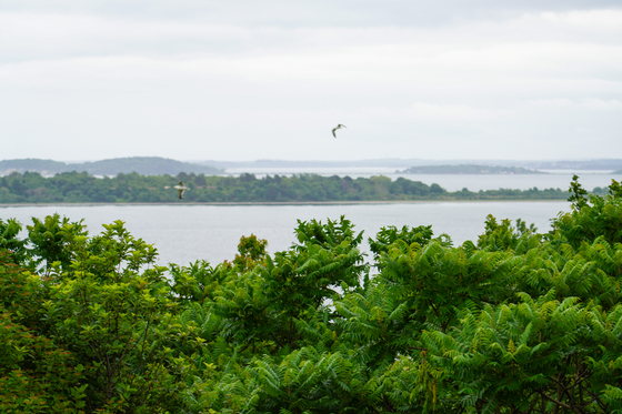 Boston Harbor Islands National Recreation Area