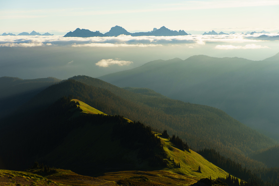 Mt. Baker-Snoqualmie National Forest