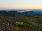 Mt. Baker-Snoqualmie National Forest