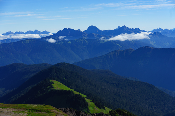 Mt. Baker-Snoqualmie National Forest