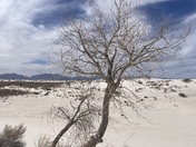 White Sands National Park 
