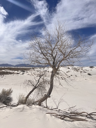 White Sands National Park 