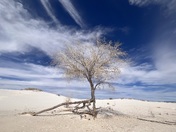 White Sands National Park 