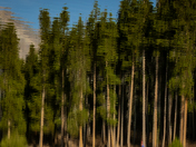 Rocky Mountain National Park