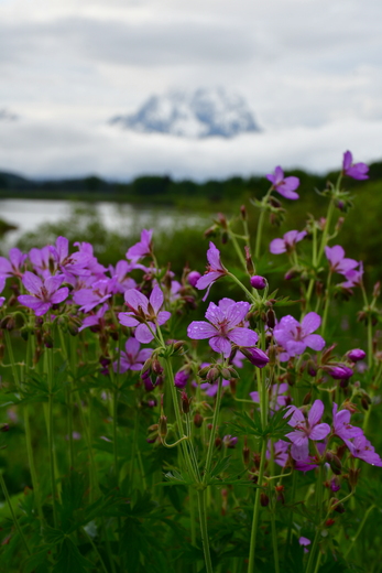 Grand Teton National Park