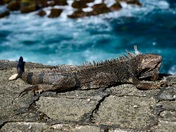 San Juan National Historic Site